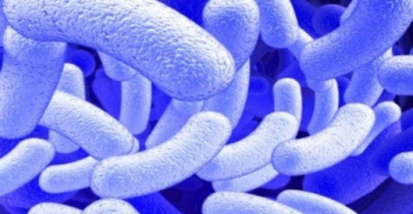 Το πανίσχυρο φυσικό αντιβιoτικό που «εξαφανίζει» όλα τα βακτήρια και τα μικρόβια