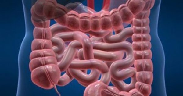 Featured Image for Νόσος του Crohn: Προκαλεί και γνωστική δυσλειτουργία;