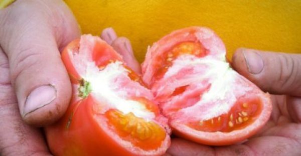 Ντομάτες: Επιστήμονες βρήκαν τρόπο για να (ξανα)γίνουν νόστιμες