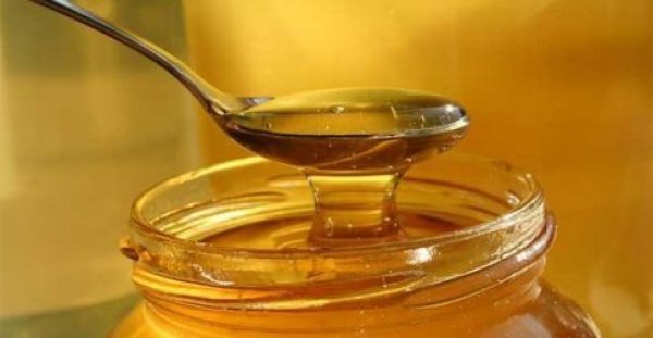 Εκπληκτικό! Έρευνα του Α.Π.Θ. εξέτασε 48 διαφορετικά ελληνικά μέλια. Δείτε ποιο μέλι είναι το καλύτερο για την υγεία!!