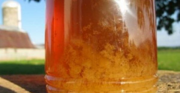 Πως θα καταλάβετε αν το μέλι είναι φυσικό ή νοθευμένο!
