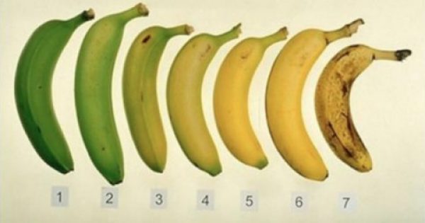 Μαντέψτε ποια από αυτές τις μπανάνες είναι καλύτερη για εσάς- η ώριμη ή η ανώριμη;