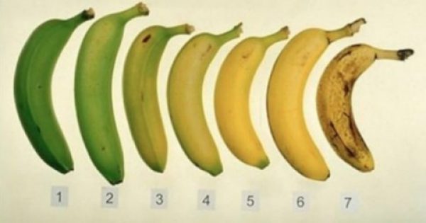 Ποια από αυτές τις μπανάνες είναι η καλύτερη επιλογή