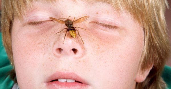 Μήπως το παιδί σας είναι αλλεργικό στις σφήκες ή τις μέλισσες;
