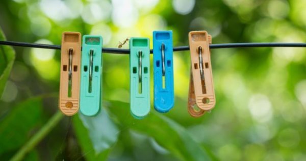 Featured Image for 5 Tips για να Διώξετε Μακριά από το Σπίτι τα Ενοχλητικά Έντομα