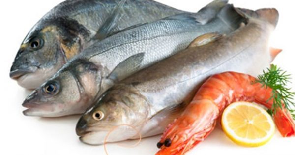 Τρώμε ψάρια από τις ελληνικές θάλασσες σε ποσοστό 93%