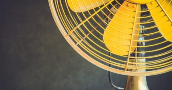 Featured Image for Το απίστευτο κόλπο με τον ανεμιστήρα, για να εξοντώνετε τα κουνούπια – Δείτε τι κάνει! ΒΙΝΤΕΟ