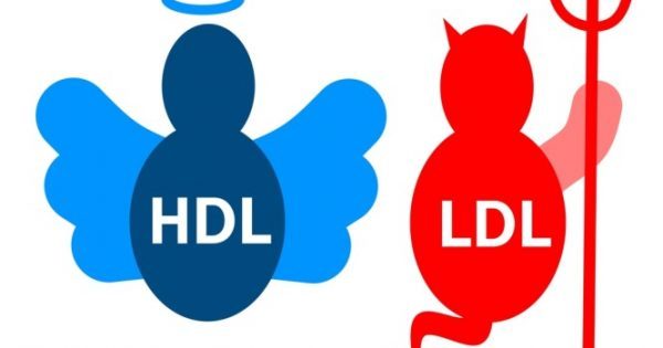 Χοληστερίνη: Οι 9 κανόνες για να αυξήσετε την καλή (HDL) χοληστερόλη
