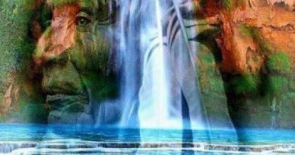 Featured Image for Τα πιο κοινά φυτά που χρησιμοποιούνταν στη λαϊκή θεραπευτική των ινδιάνων της Βόρειας Αμερικής