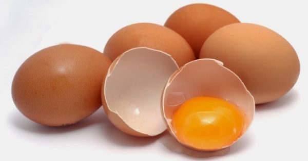 Σε επιφυλακή και οι Έλληνες παραγωγοί αβγών μην φάμε ξένα για…ελληνικά Featured Image for Σε επιφυλακή και οι Έλληνες παραγωγοί αβγών μην φάμε ξένα για…ελληνικά