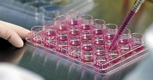 Ο FDA έβαλε τέλος σε μη εγκεκριμένες θεραπείες με βλαστοκύτταρα