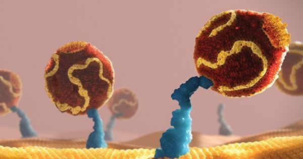 Featured Image for Όσο πιο χαμηλά η LDL-C, τόσο καλύτερα για τους υψηλού κινδύνου ασθενείς!!!
