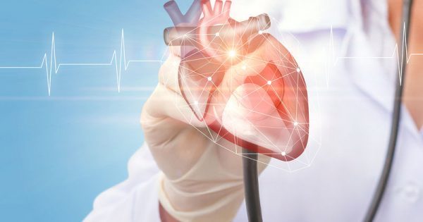 Πόσο αυξάνεται το βάρος της καρδιάς όσο αυξάνεται ο δείκτης μάζας σώματος