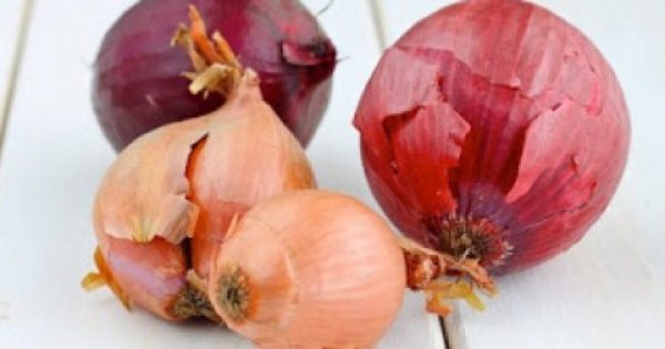 Featured Image for Διώξτε τα μυρμήγκια με κρεμμύδι!