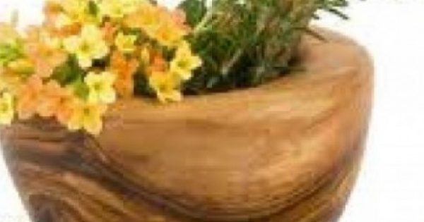 Featured Image for 35 βότανα για αδυνάτισμα και καλή υγεία