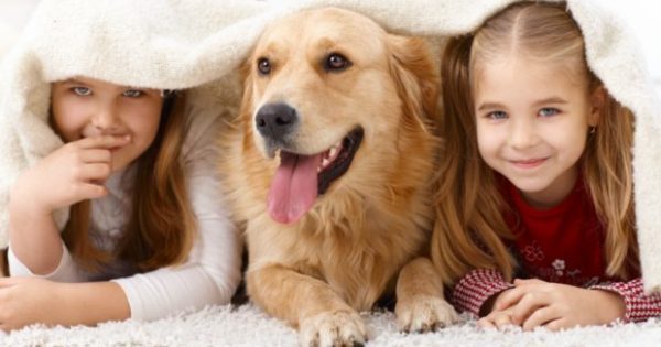 Featured Image for 9 Tips για να Διώξετε Κάθε Είδους Ακαθαρσία ή Μυρωδιά που Αφήνουν τα Κατοικίδιά σας στο Σπίτι