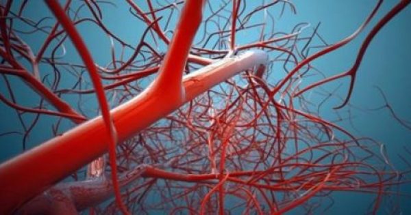 Ερευνητές βρήκαν τρόπο να αναγεννήσουν αιμοφόρα αγγεία