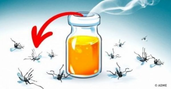 Κουνούπια ΤΕΛΟΣ! 11 αρώματα που θα απομακρύνουν τα κουνούπια από τον χώρο σας με φυσικό τρόπο