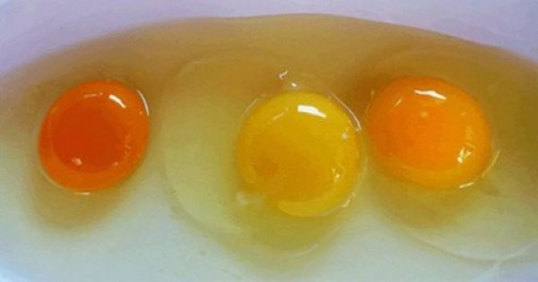 ΜΕΓΑΛΗ ΠΡΟΣΟΧΗ με τα αυγά!!! – Τί μαρτυρά το χρώμα του – Τί πρέπει να προσέχετε!!!