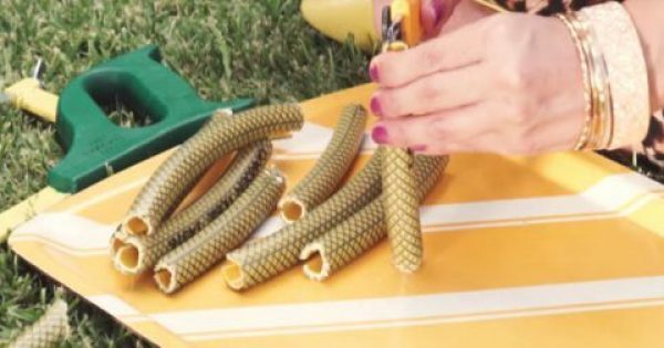 Featured Image for Παίρνει ένα Λάστιχο ποτίσματος και το Κόβει σε Κομμάτια. Το Τελικό Αποτέλεσμα; Θα σας Εντυπωσιάσει!