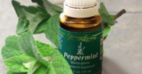 Featured Image for Peppermint oil: Καθαρισμός των πνευμόνων με λάδι μέντας