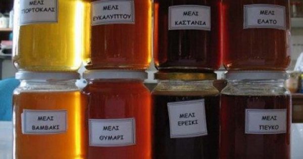 Featured Image for Έρευνα από το ΑΠΘ εξέτασε 48 διαφορετικά ελληνικά μέλια και το αποτέλεσμα ήταν απίστευτο! Βρέθηκε το Ελληνικό μέλι με την περισσότερο ευεργετική δράση !!!