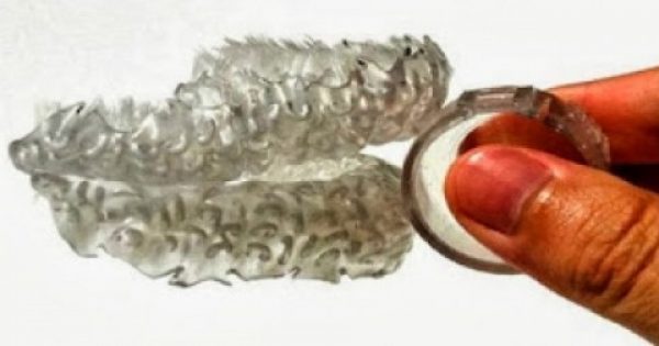 Featured Image for Βρέθηκε η λύση για όσους βαριούνται να βουρτσίσουν τα δόντια τους! [βίντεο]