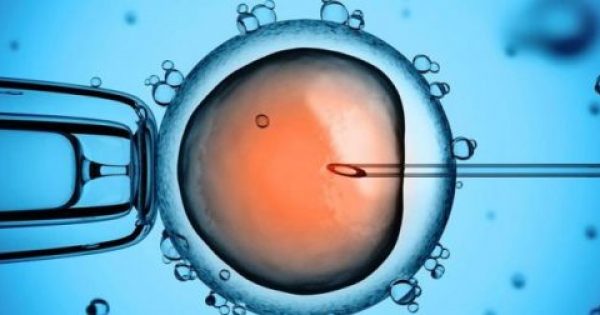 Νέα τεχνική στην εξωσωματική γονιμοποίηση φωτογραφίζει τα έμβρυα και επιλέγει… το καλύτερο
