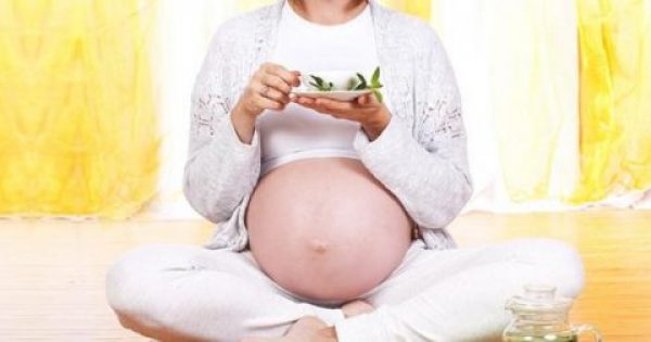 Ποια βότανα είναι επικίνδυνα στην εγκυμοσύνη
