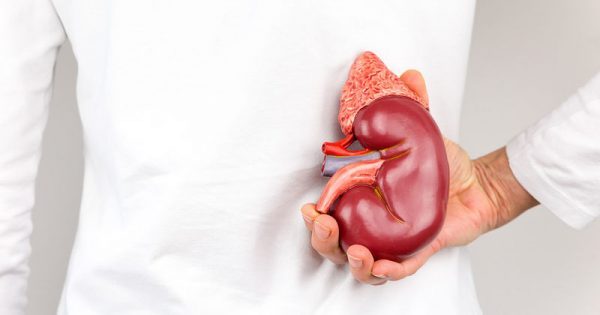 Απαντήστε σε 8 ερωτήσεις για να δείτε αν τα νεφρά σας κινδυνεύουν