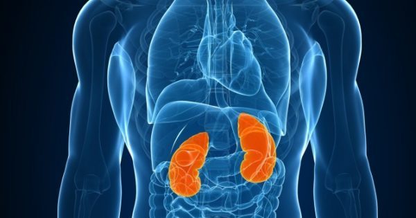 Featured Image for Τα σημάδια που δείχνουν ότι τα νεφρά σας έχουν πρόβλημα με το νερό που πίνετε [vid]