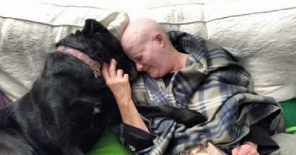 Αυτή η γυναίκα και ο σκύλος της πάλεψαν μαζί τον καρκίνο