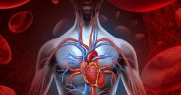 Καθαρίστε αρτηρίες, καρδιά και νεφρά σε 72 ώρες με φυσικό τρόπο