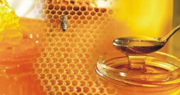 Δείτε τι θαύματα κάνει μία κουταλιά μέλι πριν τον ύπνο!
