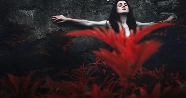 Featured Image for Γενναίοι άνθρωποι είναι εκείνοι που μαζεύουν τα κομμάτια τους και χτίζουν ξανά τους εαυτούς τους!!!