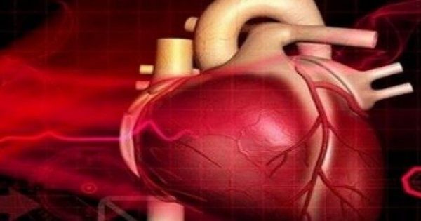 Εντοπίστηκε ουσία που «ξανανιώνει» την καρδιά – Δείτε τι ανακάλυψε η νέα επιστημονική έρευνα