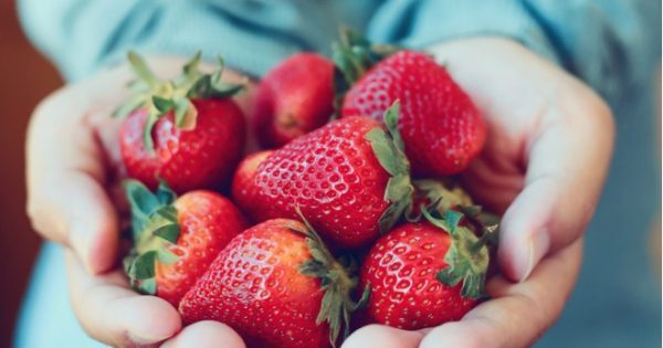 Τι προσφέρουν οι φράουλες στην υγεία σας – Σπουδαία οφέλη αλλά και κάποιοι… κίνδυνοι