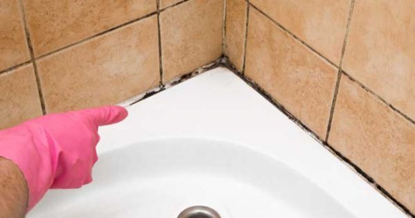 Πως να καθαρίσεις τους μύκητες και τη μούχλα από το μπάνιο