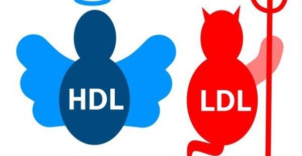 Χοληστερίνη: Οι 9 κανόνες για να αυξήσετε την καλή (HDL) χοληστερόλη!!!