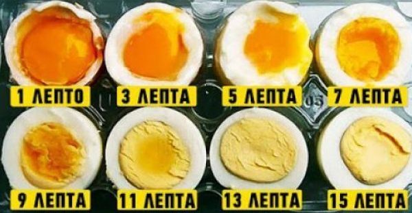 10 πράγματα που συμβαίνουν στον οργανισμό μας όταν τρώμε αυγά που πρέπει να τα γνωρίζετε …